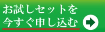 きゃろっと3